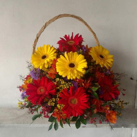 Canasta Gerbera