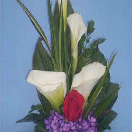 Arreglo cartuchos y hortensia