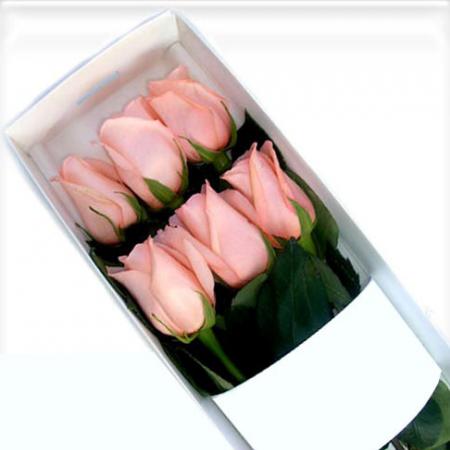Caja con 6 rosas en cualquier color