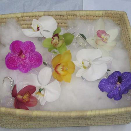 Orquídeas phalaenopsis