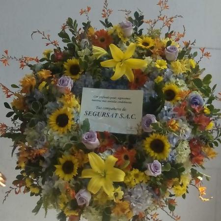 Corona americana girasol