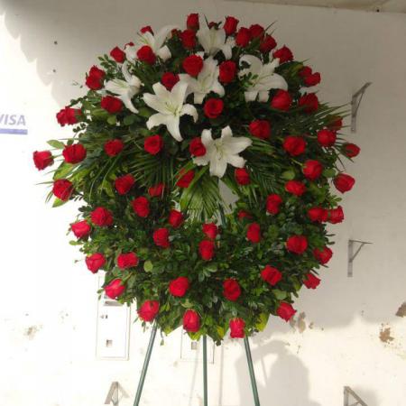 Corona especial americana