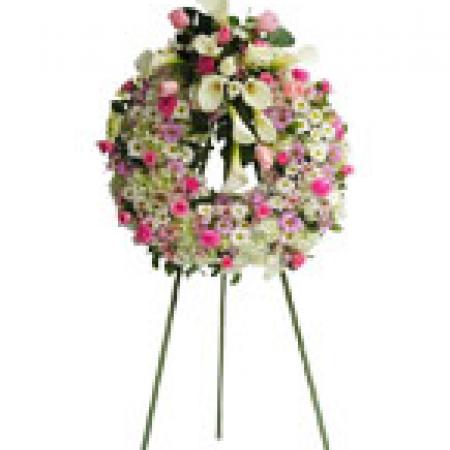 Corona pequeñas americ