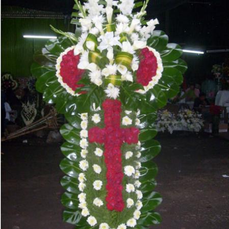 cruz tono rojo y mixto