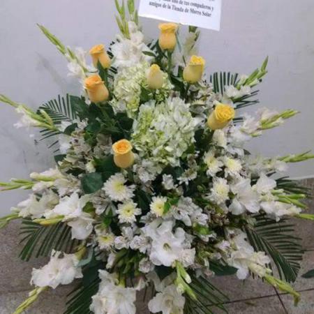 Lagrima tonos amarillos y astromelias