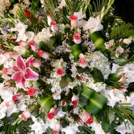 Lagrima con rosas rojas