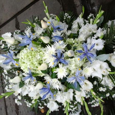 Lagrima tonos lilas y mas