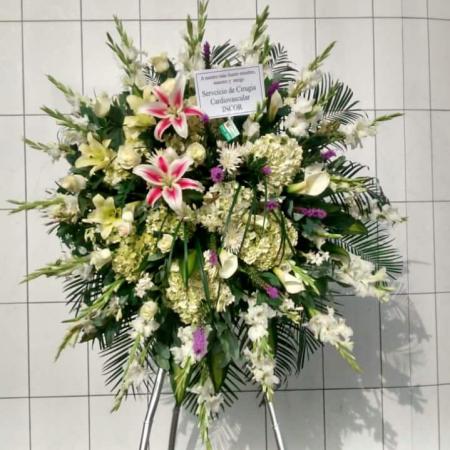 Trípode tonos primaveral