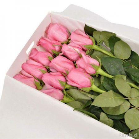 Cajas de Rosas